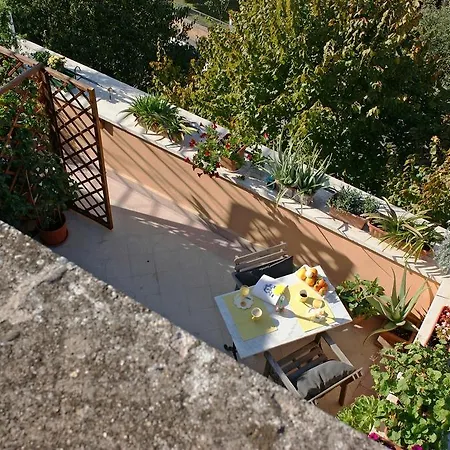 Lincei Apartamento
